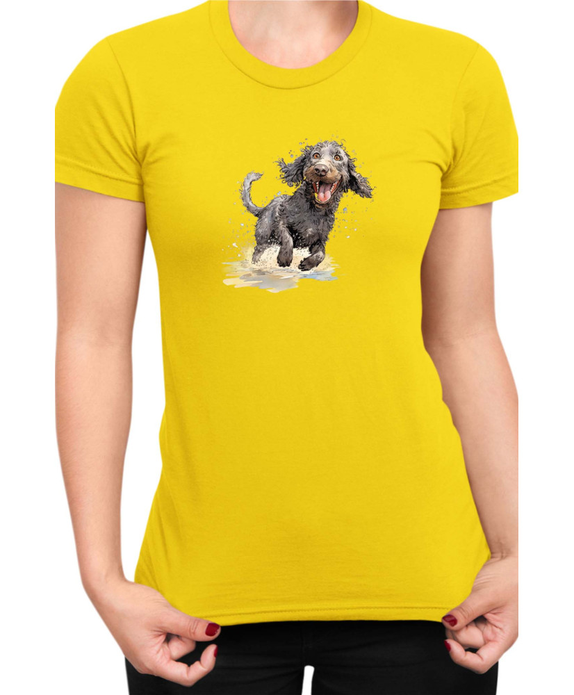 Дамска Тениска Funny Dogs Breeds American Water Spaniel 02