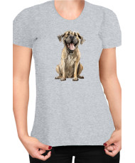 Дамска Тениска Funny Dogs Breeds English Mastiff