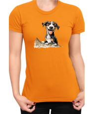 Дамска Тениска Funny Dogs Breeds Entlebucher Mountain Dog