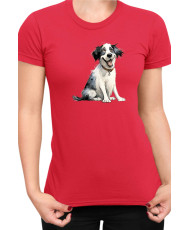Дамска Тениска Funny Dogs Breeds Landseer