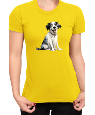 Дамска Тениска Funny Dogs Breeds Landseer