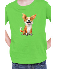 Детска Тениска Funny Dogs Breeds Corgi