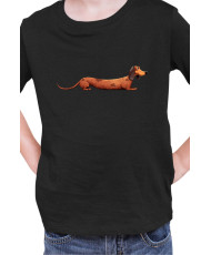 Детска Тениска Funny Dogs Breeds Dachshund 02