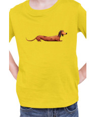 Детска Тениска Funny Dogs Breeds Dachshund 02
