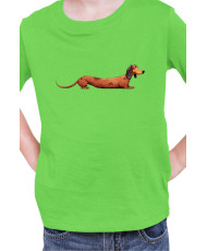 Детска Тениска Funny Dogs Breeds Dachshund 02