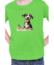 Детска Тениска Funny Dogs Breeds Entlebucher Mountain Dog