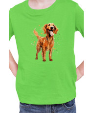 Детска Тениска Funny Dogs Breeds Irish Setter