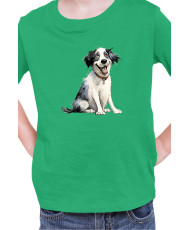 Детска Тениска Funny Dogs Breeds Landseer