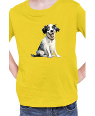 Детска Тениска Funny Dogs Breeds Landseer