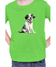 Детска Тениска Funny Dogs Breeds Landseer