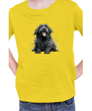 Детска Тениска Funny Dogs Breeds Newfoundland