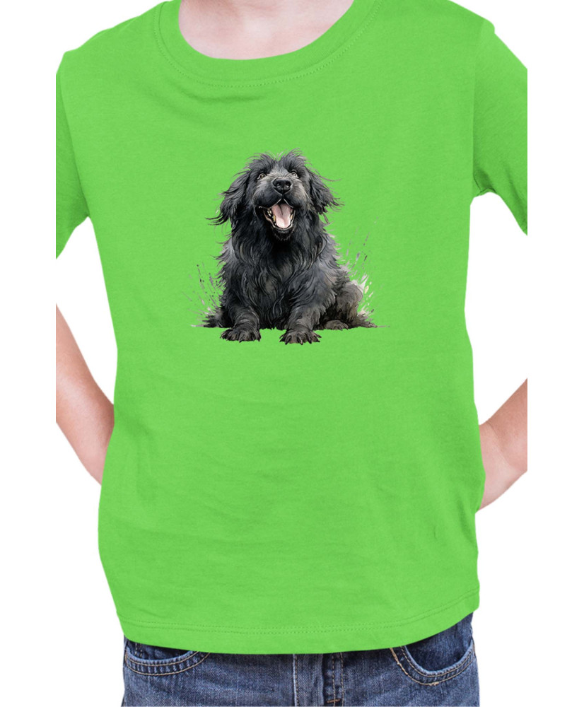 Детска Тениска Funny Dogs Breeds Newfoundland