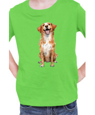 Детска Тениска Funny Dogs Breeds Novia Scotia Duck Tolling Retriever