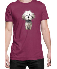 Мъжка Тениска Funny Dogs Breeds Bichon Frise