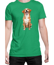 Мъжка Тениска Funny Dogs Breeds Novia Scotia Duck Tolling Retriever