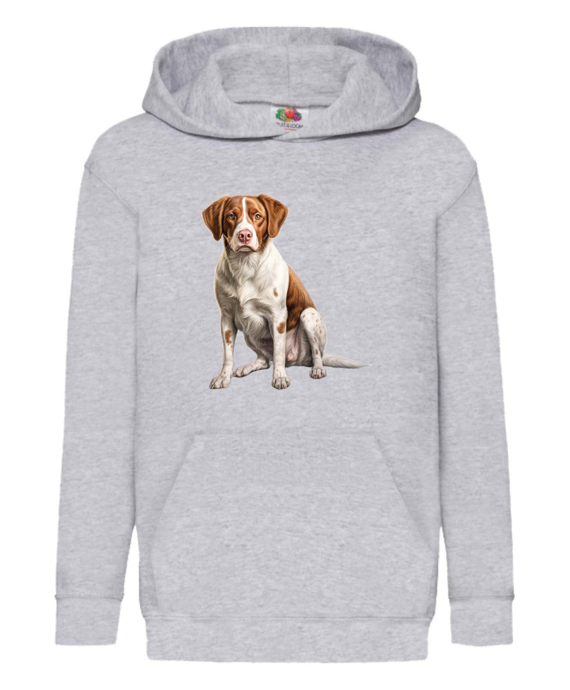 Детски Суитчър Dogs Breeds Brittany 02