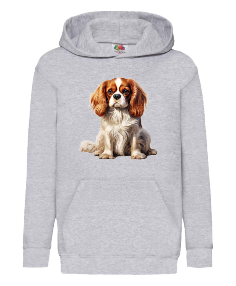 Детски Суитчър Dogs Breeds Cavalier King Charles Spaniel 02