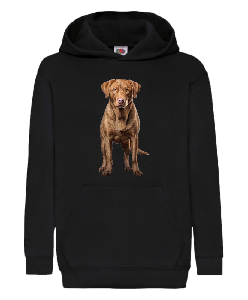 Детски Суитчър Dogs Breeds Chesapeake Bay Retriever 01