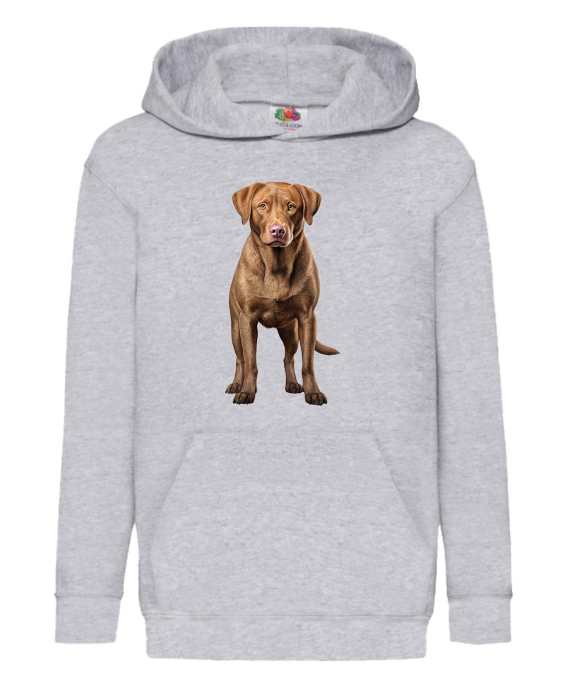 Детски Суитчър Dogs Breeds Chesapeake Bay Retriever 01