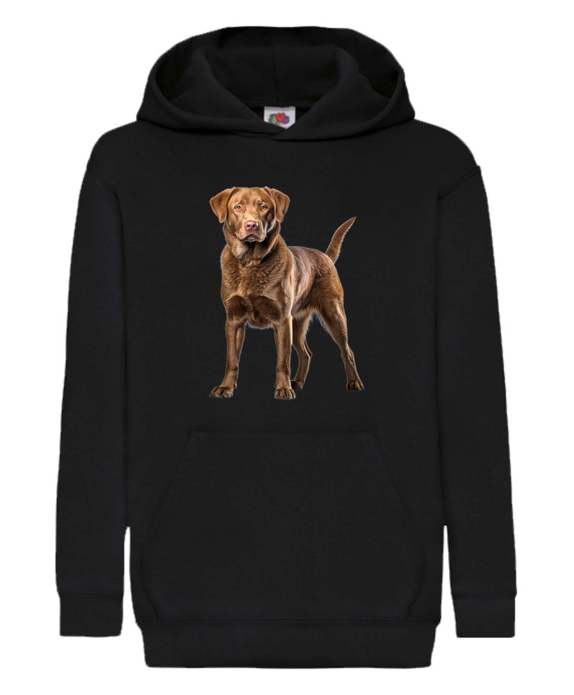 Детски Суитчър Dogs Breeds Chesapeake Bay Retriever 02