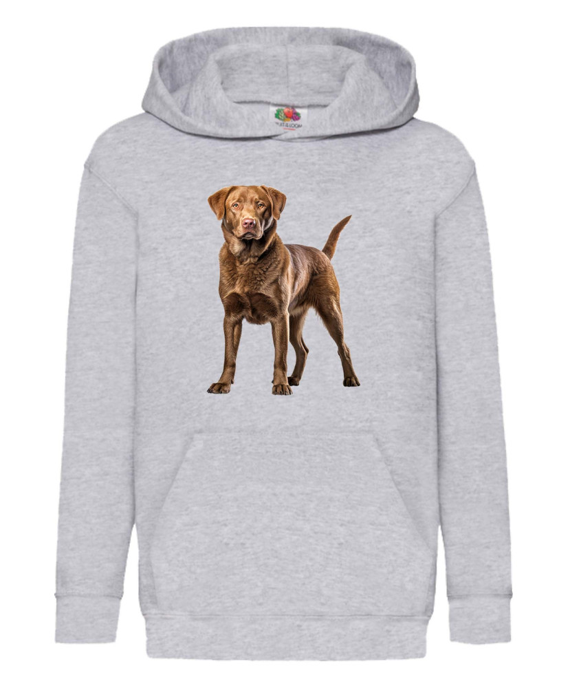 Детски Суитчър Dogs Breeds Chesapeake Bay Retriever 02