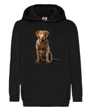 Детски Суитчър Dogs Breeds Chesapeake Bay Retriever 03