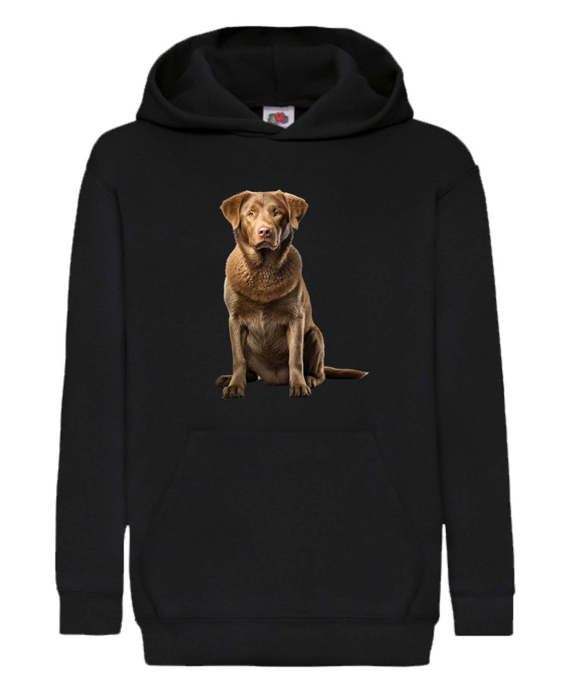 Детски Суитчър Dogs Breeds Chesapeake Bay Retriever 03