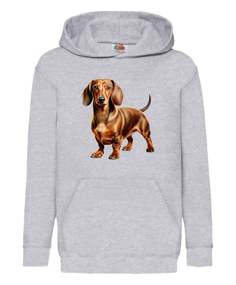 Детски Суитчър Dogs Breeds Dachshund 03