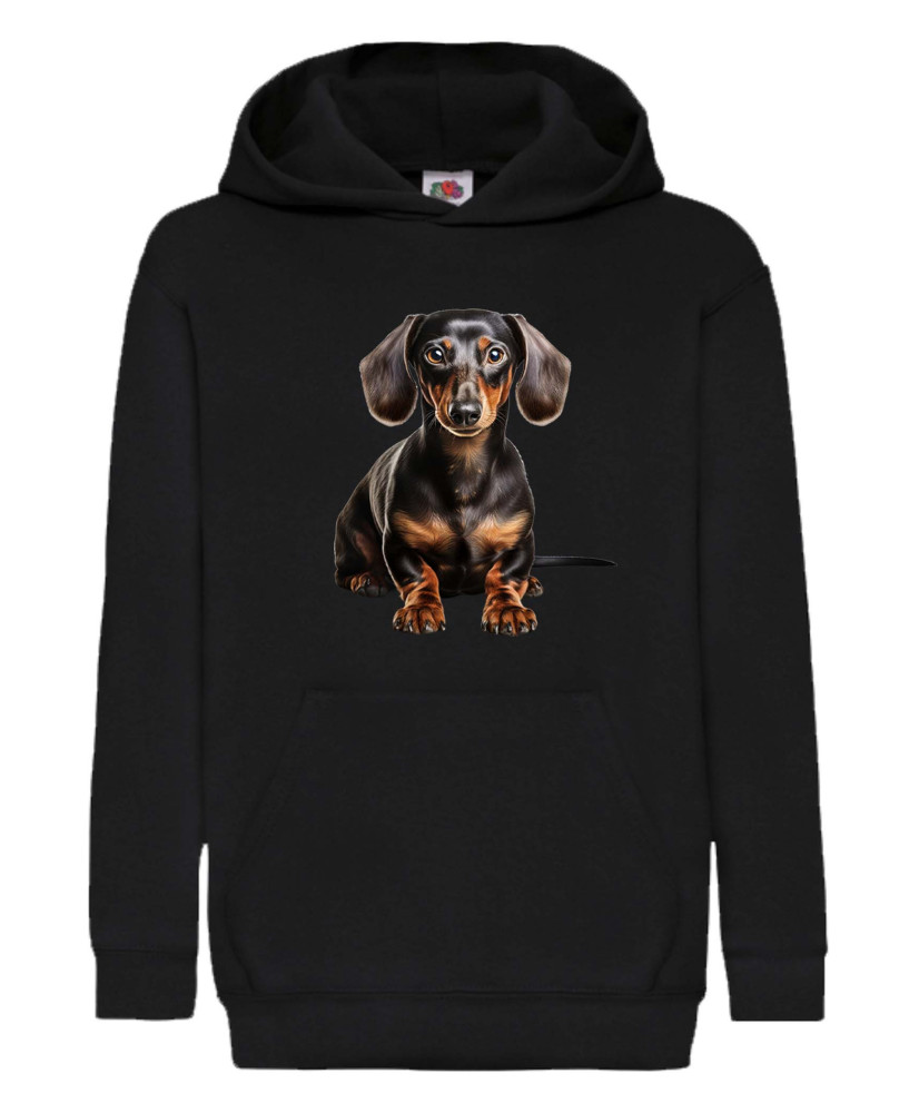 Детски Суитчър Dogs Breeds Dachshund 04