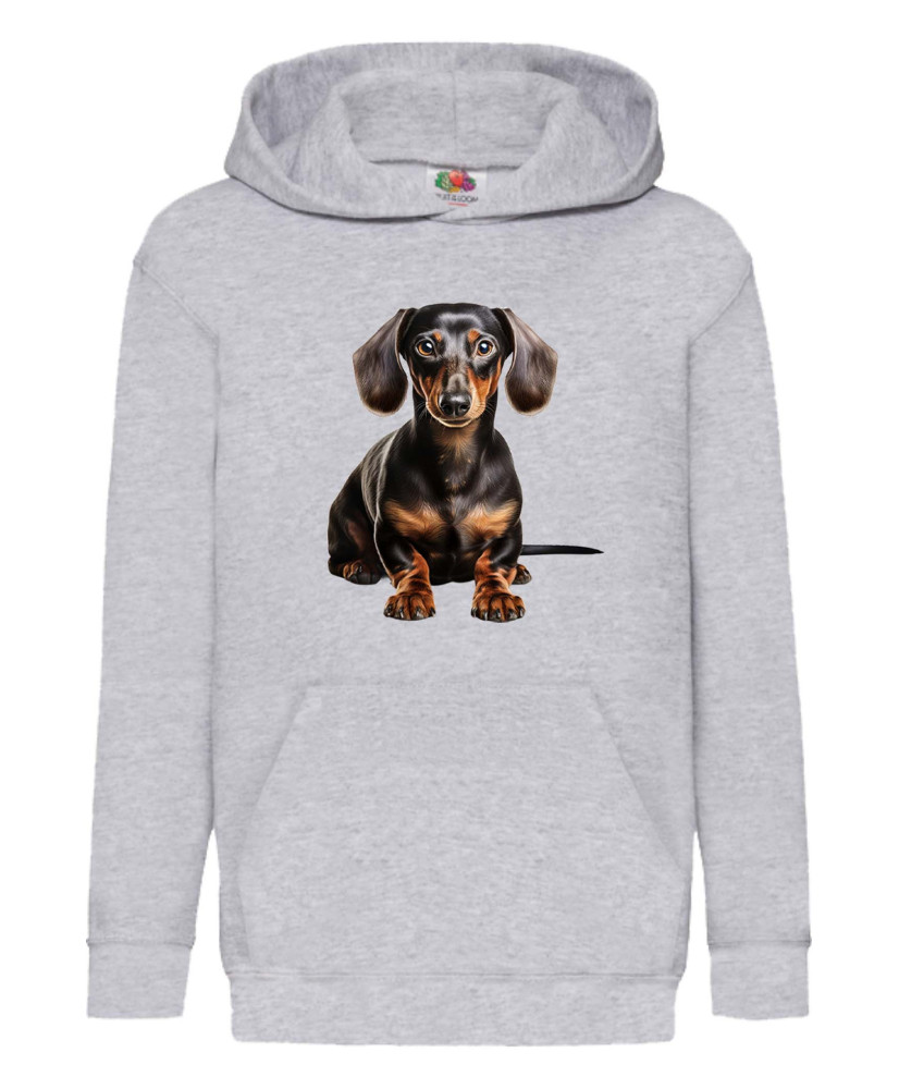 Детски Суитчър Dogs Breeds Dachshund 04