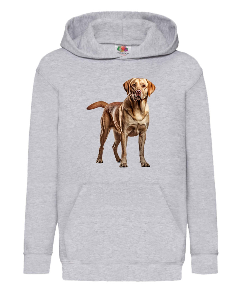 Детски Суитчър Dogs Breeds Labrador Retriever 01