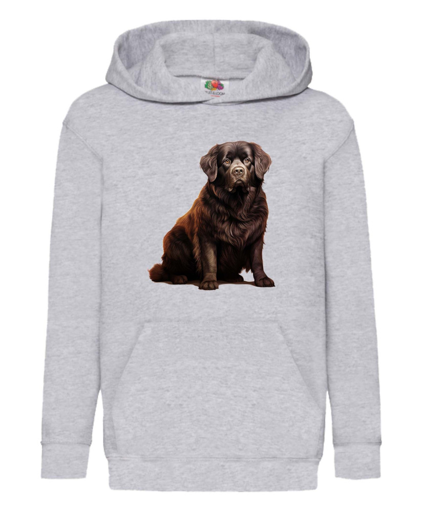 Детски Суитчър Dogs Breeds Newfoundland 01