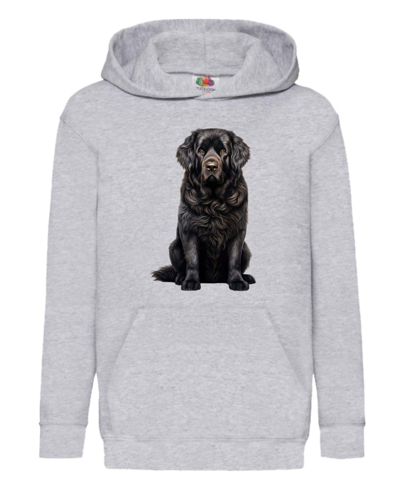 Детски Суитчър Dogs Breeds Newfoundland 02