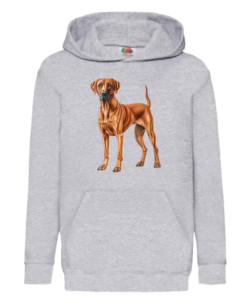 Детски Суитчър Dogs Breeds Rhodesian Ridgeback 02