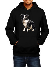 Мъжки Суитчър Dogs Breeds Border Collie 04