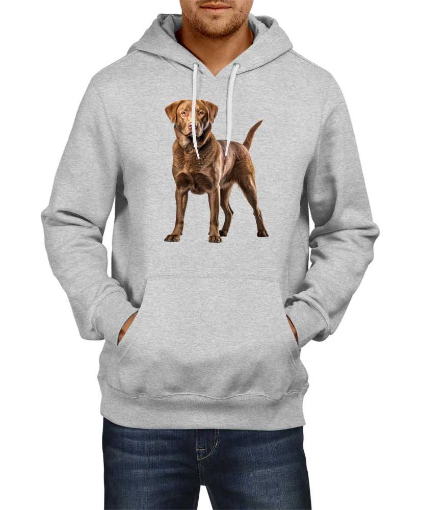 Мъжки Суитчър Dogs Breeds Chesapeake Bay Retriever 02