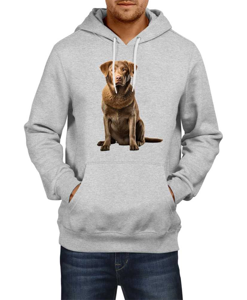 Мъжки Суитчър Dogs Breeds Chesapeake Bay Retriever 03