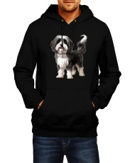 Мъжки Суитчър Dogs Breeds Havanese 01