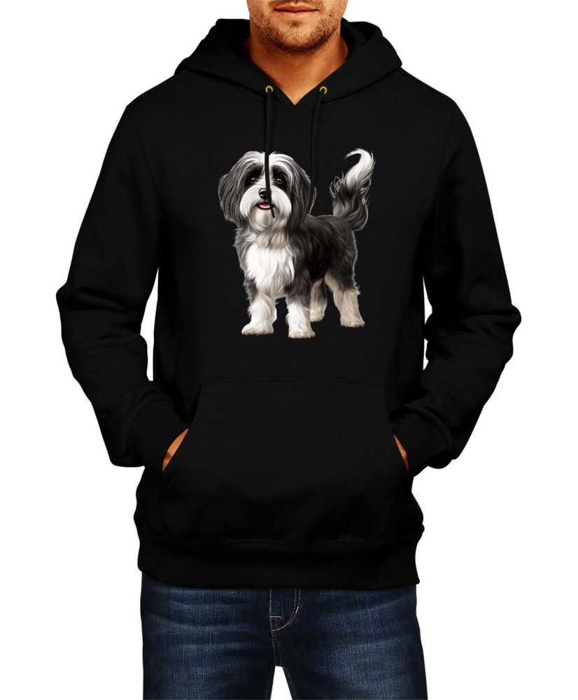 Мъжки Суитчър Dogs Breeds Havanese 01