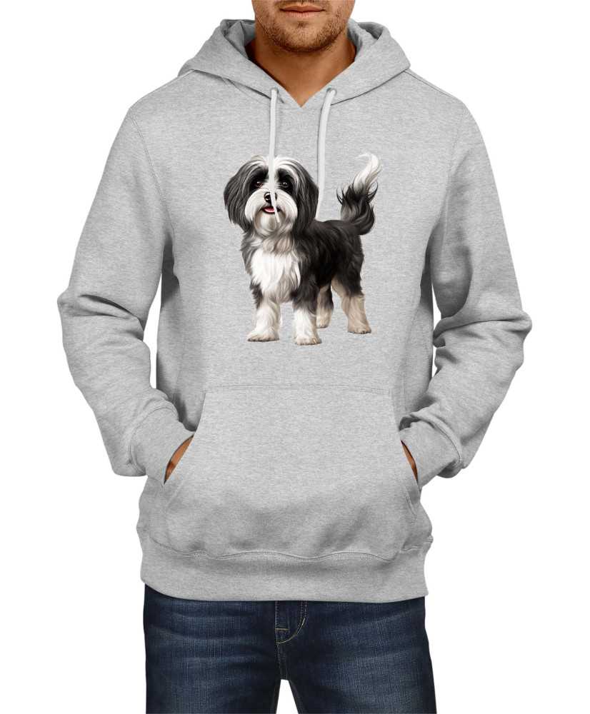 Мъжки Суитчър Dogs Breeds Havanese 01