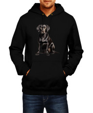 Мъжки Суитчър Dogs Breeds Labrador Retriever 02