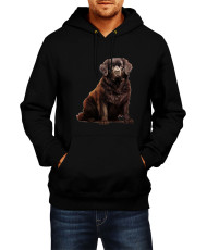 Мъжки Суитчър Dogs Breeds Newfoundland 01