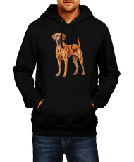 Мъжки Суитчър Dogs Breeds Rhodesian Ridgeback 02