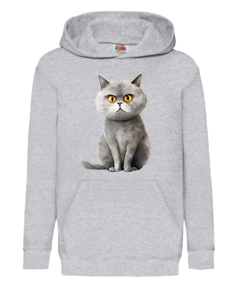 Детски Суитчър Funny Cats Breeds British Shorthair 1