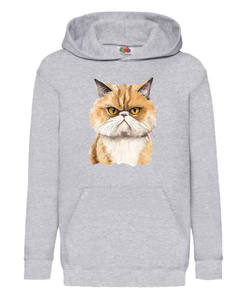 Детски Суитчър Funny Cats Breeds Exotic Shorthair