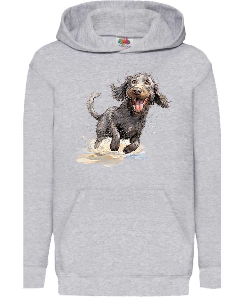 Детски Суитчър Funny Dogs Breeds American Water Spaniel 02